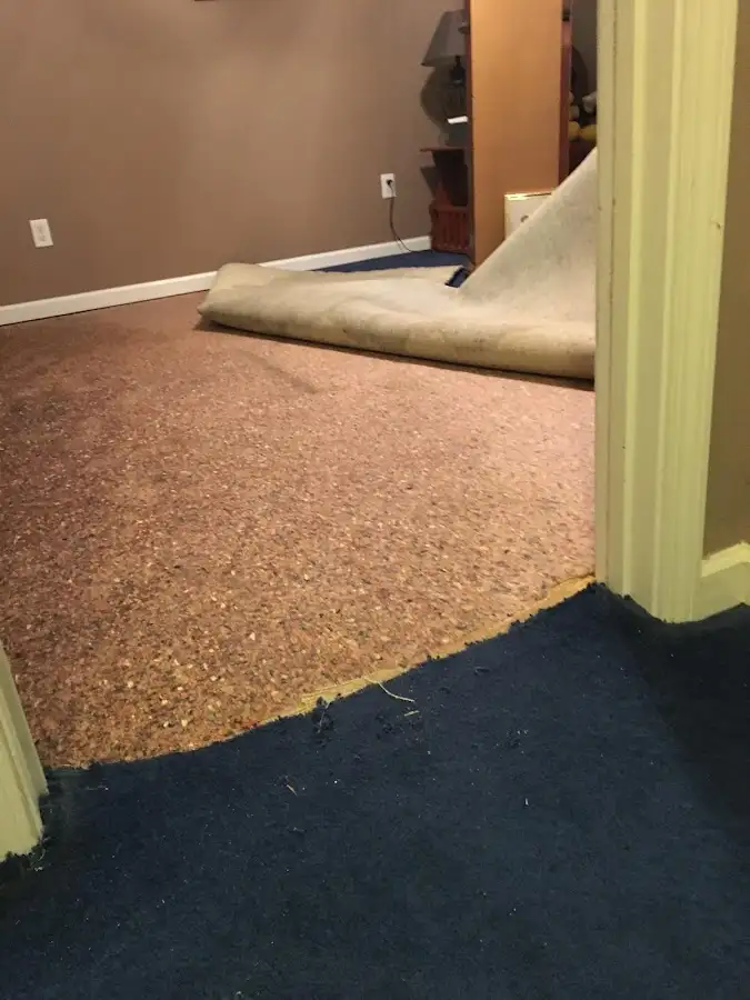 Carpet pad removal revealing water damage during Drying & Dehumidification in Westwood