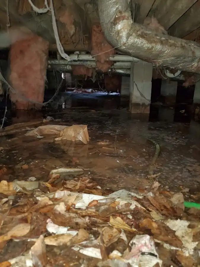 Crawl space flood assessment for Commercial Water Damage Restoration in Westwood