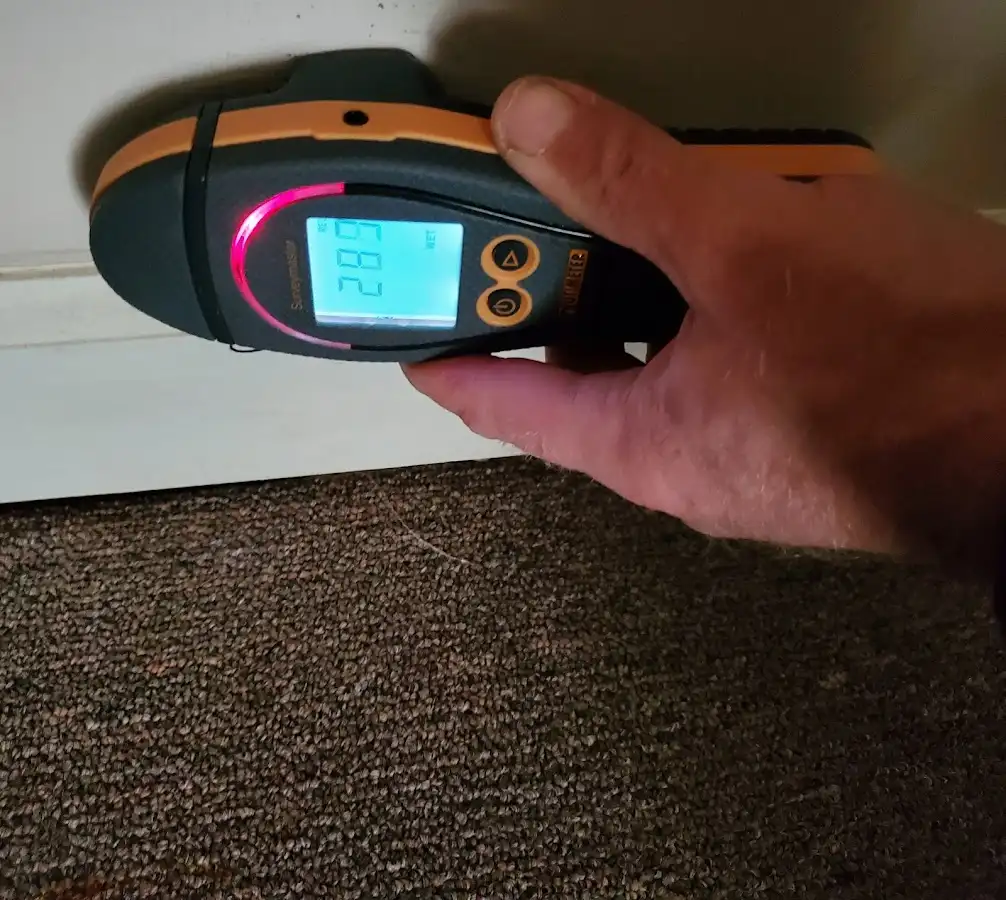 Moisture detection at baseboard during Sewage Cleanup & Sanitation in Westwood
